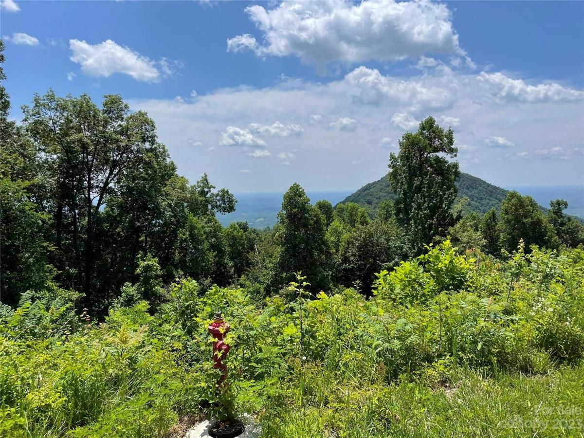 MLS #CAR4040298 image #25