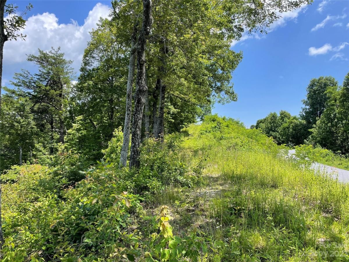 MLS #CAR4040298 image #26