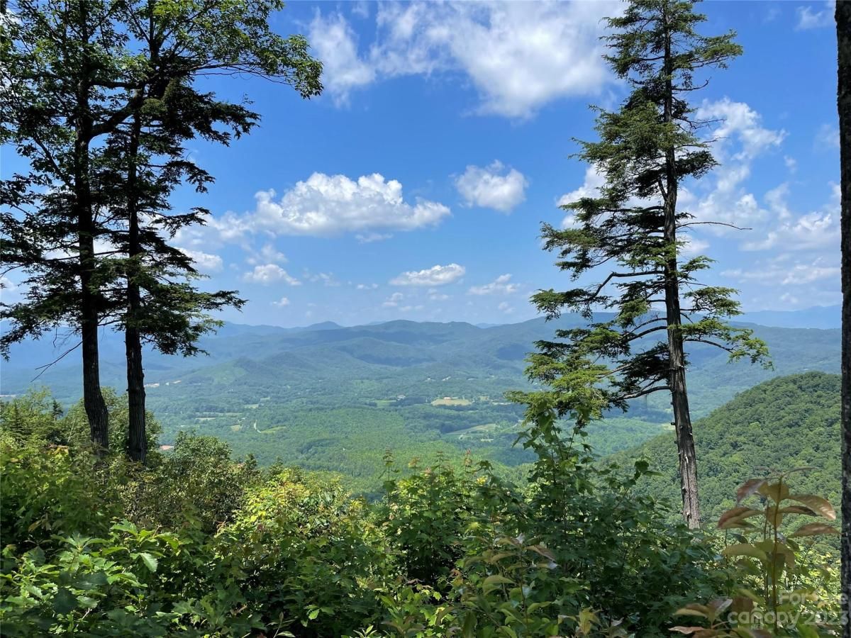 MLS #CAR4040298 image #27