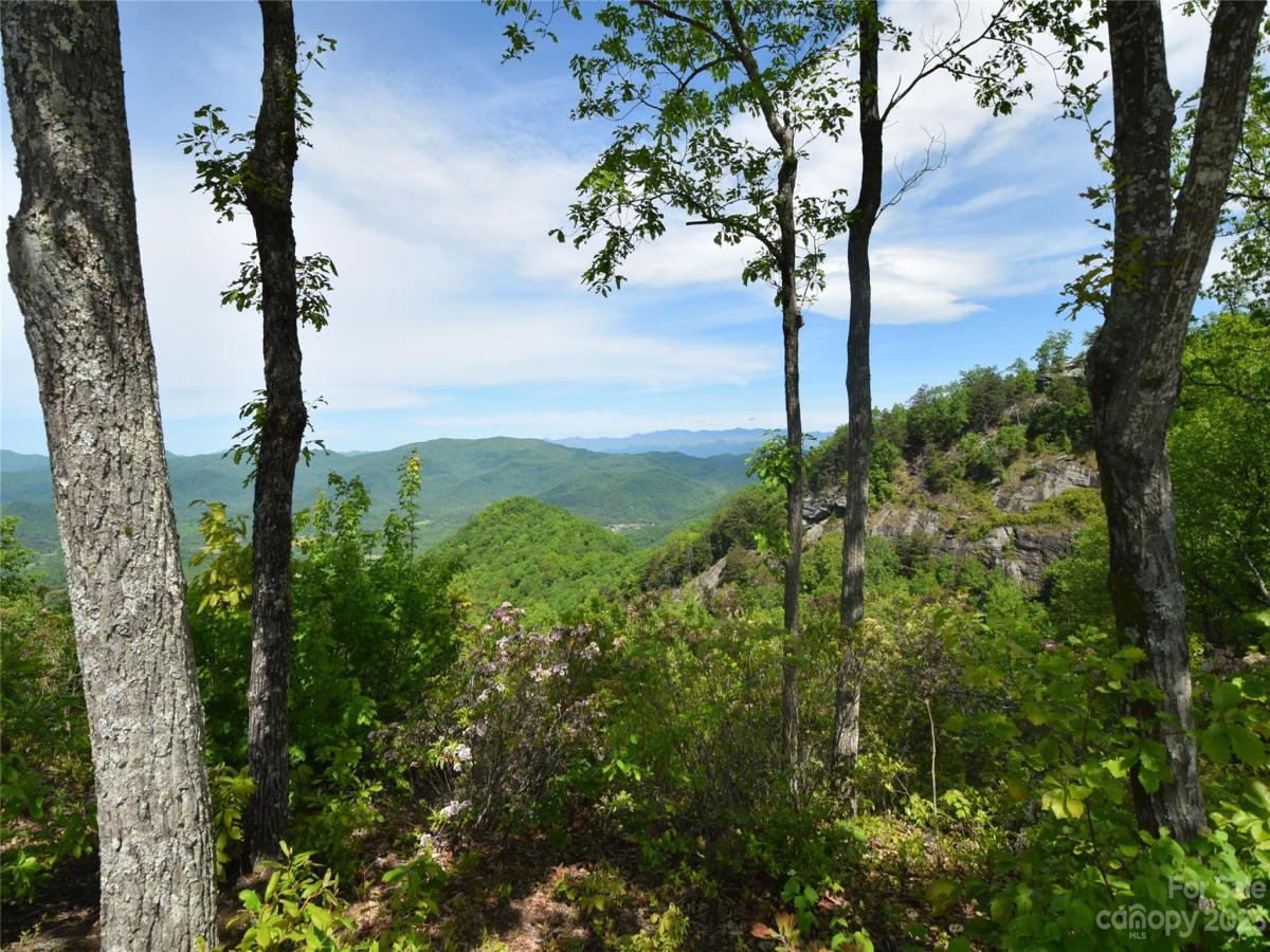 MLS #CAR4040298 image #5