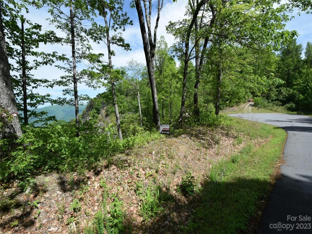 MLS #CAR4040298 image #9