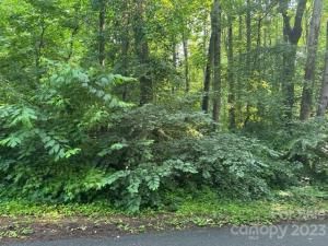 MLS #CAR4041764 image #1