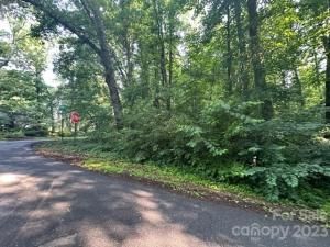 MLS #CAR4041764 image #3