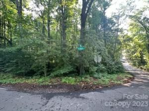 MLS #CAR4041764 image #4