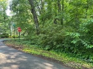 MLS #CAR4041764 image #5