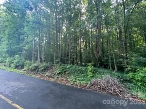 MLS #CAR4041768 image #2