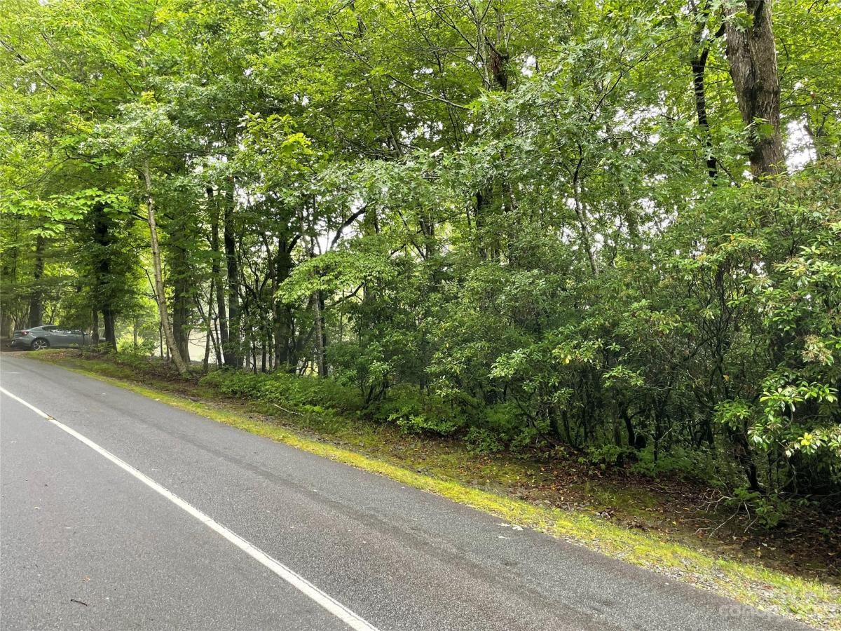 MLS #CAR4044803 image #2