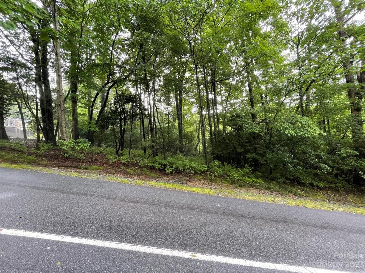 MLS #CAR4044803 image #3