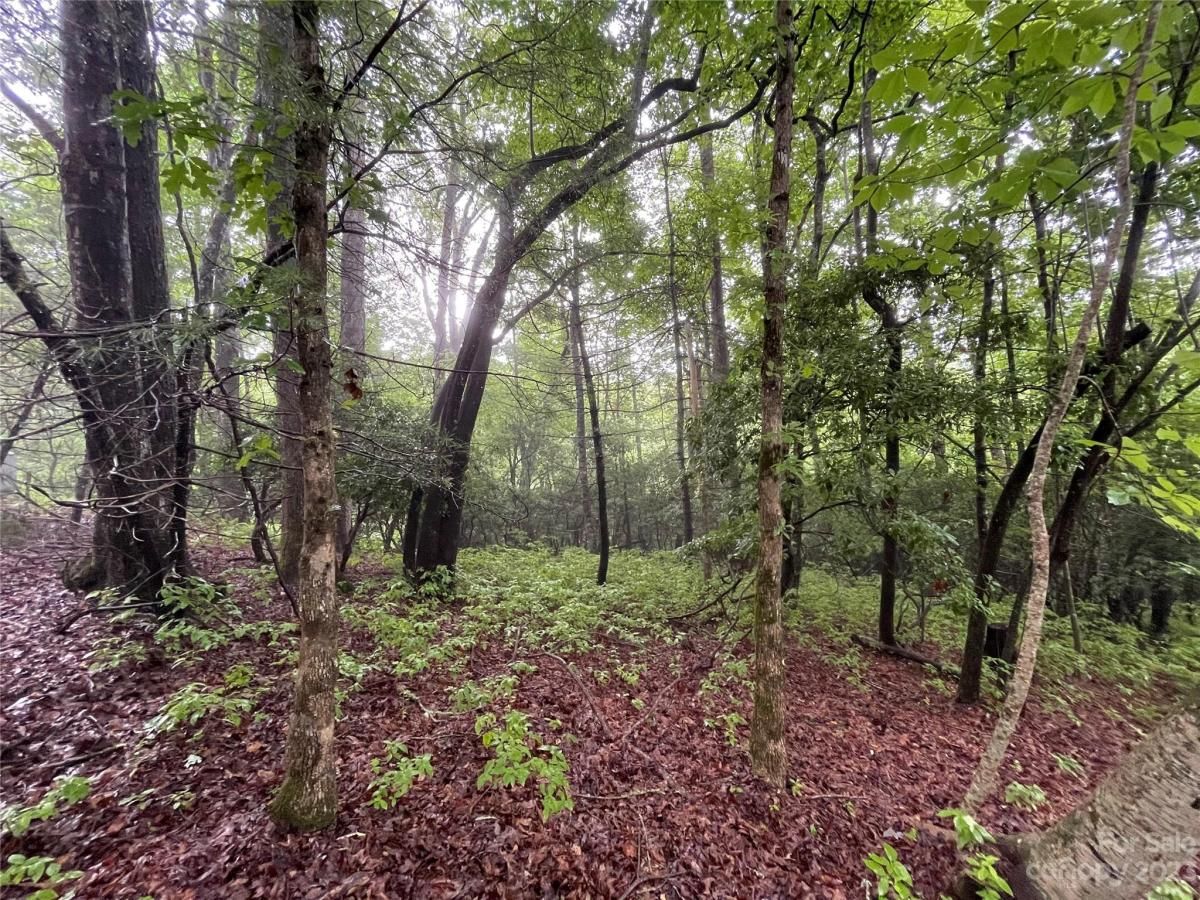 MLS #CAR4044803 image #6