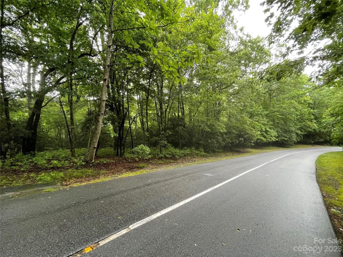 MLS #CAR4044803 image #8