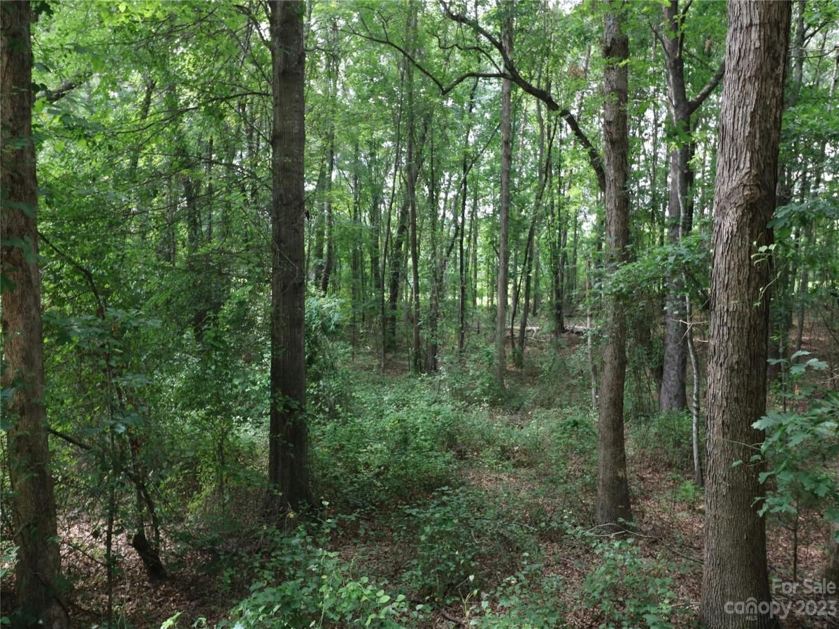 MLS #CAR4046631 image #1