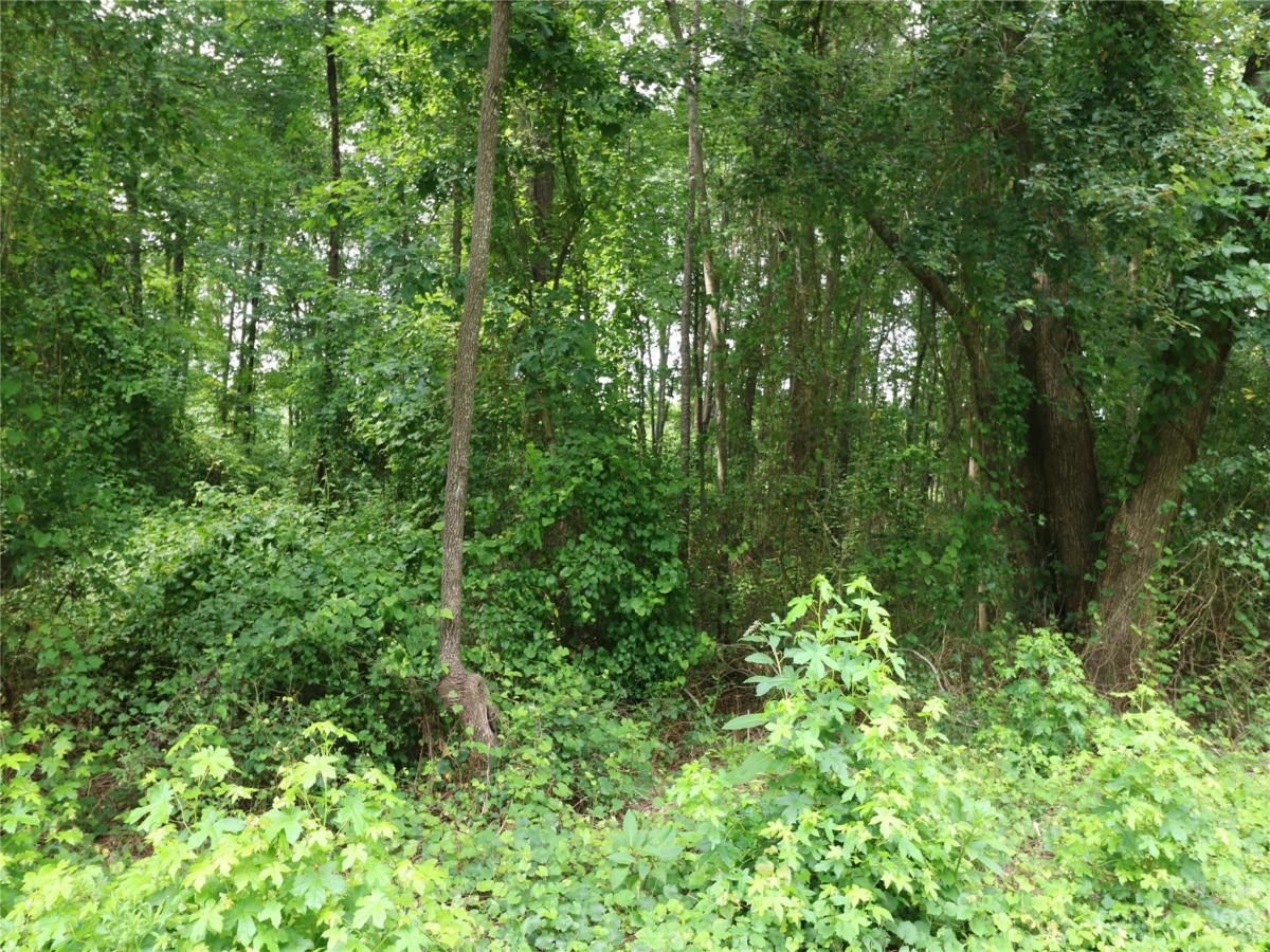 MLS #CAR4046631 image #2