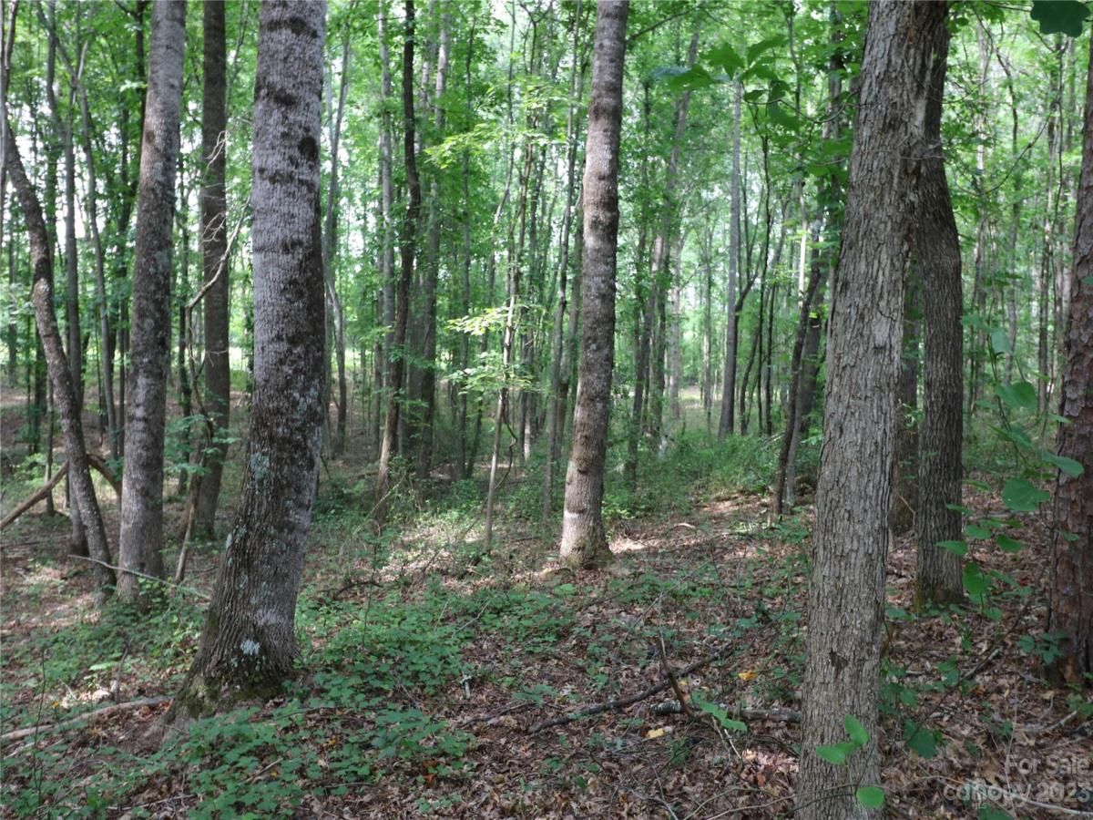 MLS #CAR4046634 image #1