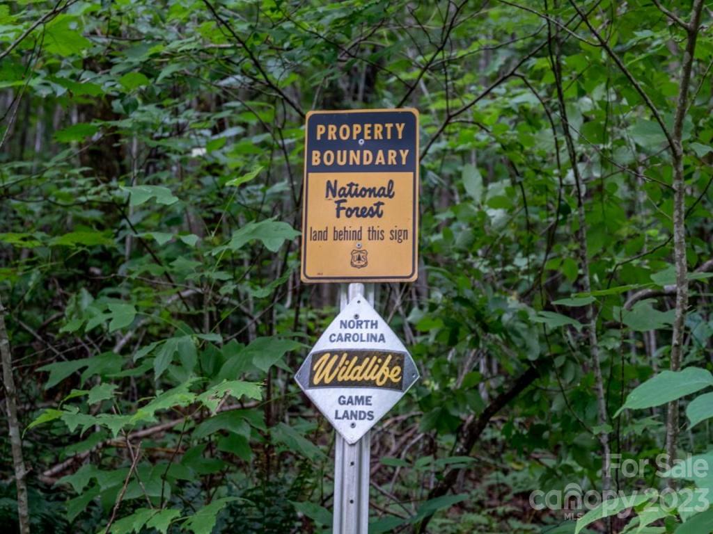 MLS #CAR4048289 image #11