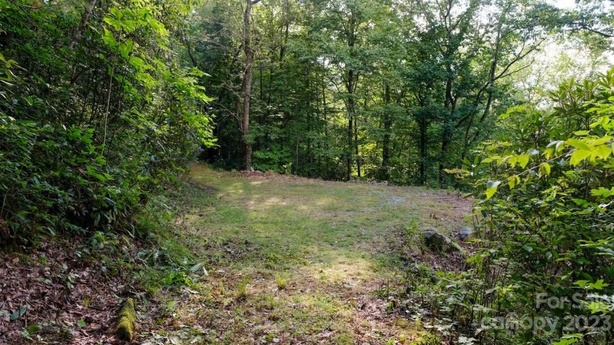 MLS #CAR4048289 image #4