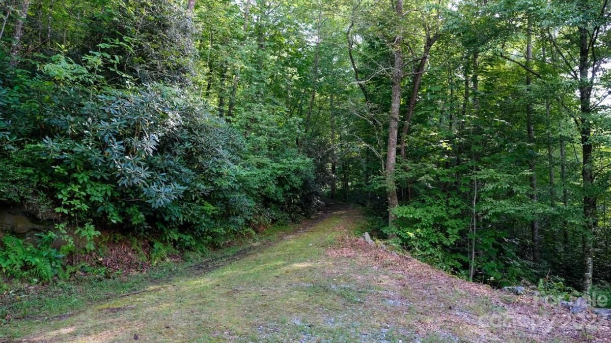 MLS #CAR4048289 image #5