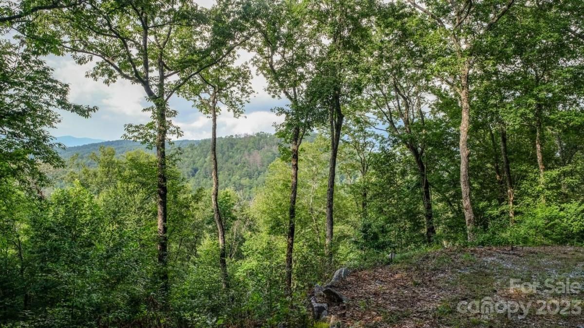 MLS #CAR4048289 image #7