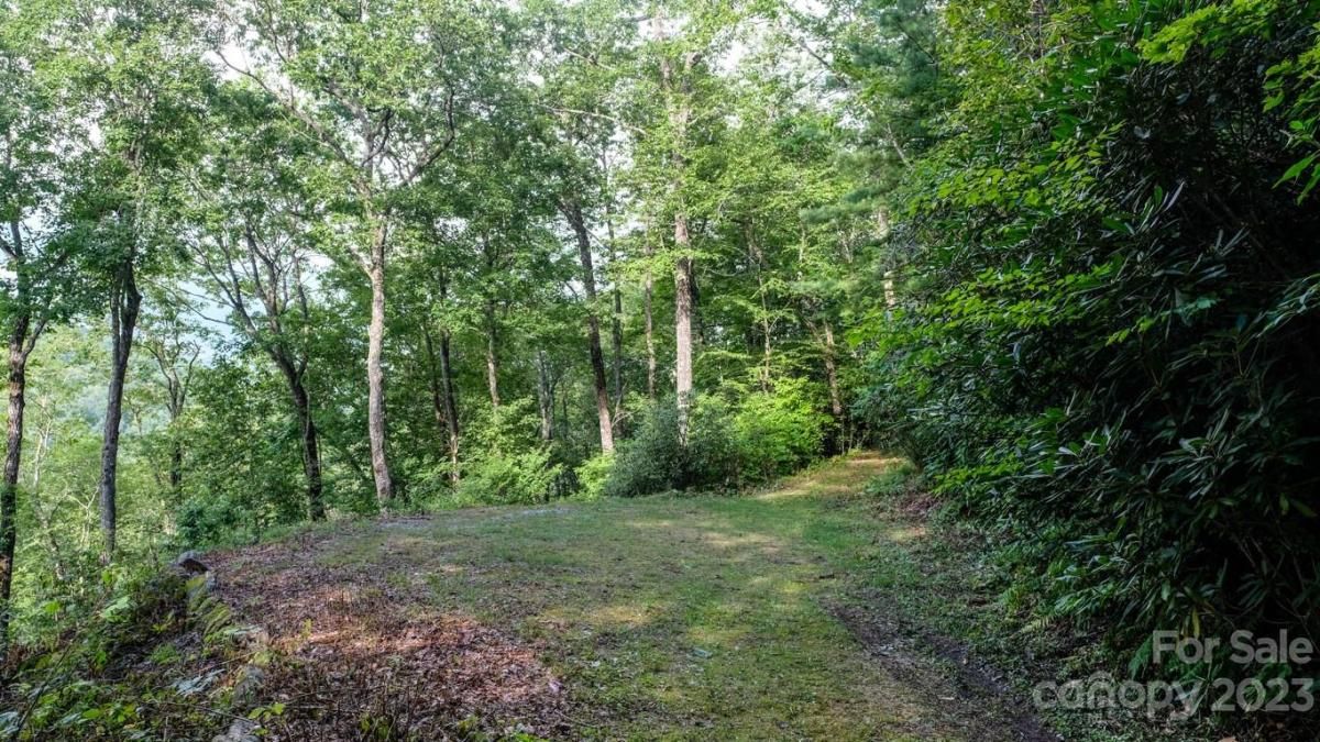 MLS #CAR4048289 image #8