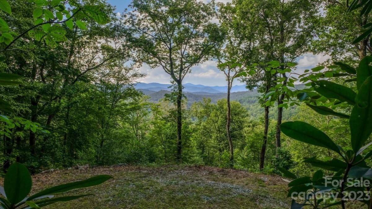 MLS #CAR4048289 image #9