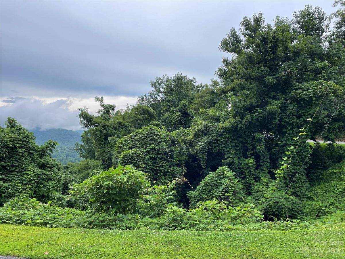 MLS #CAR4050454 image #3