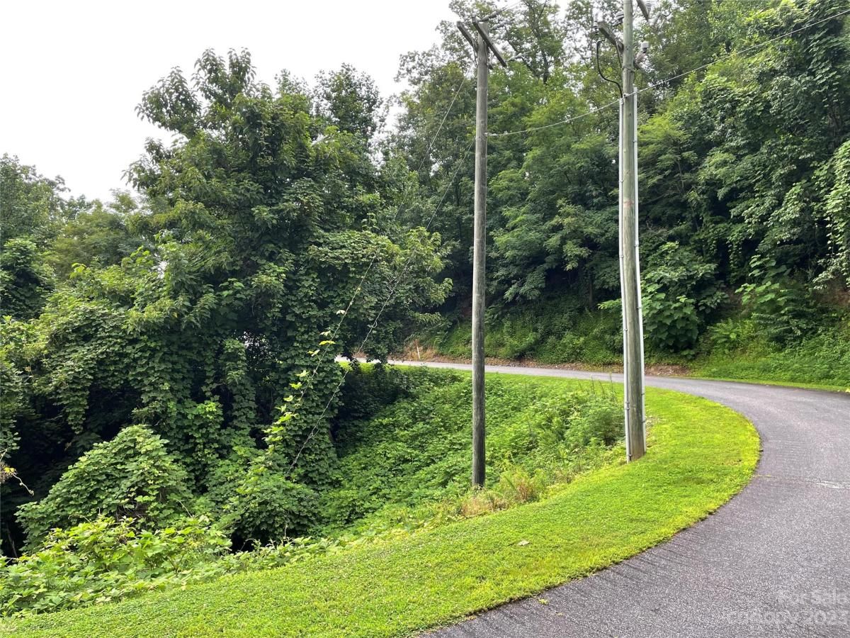 MLS #CAR4050454 image #4