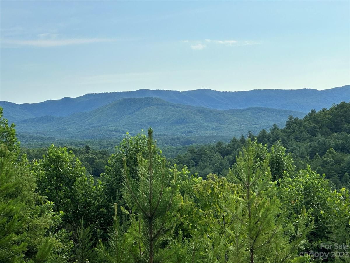 MLS #CAR4052289 image #12