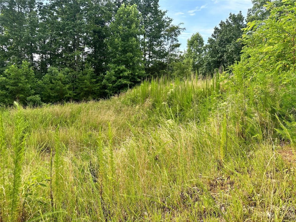 MLS #CAR4052289 image #3