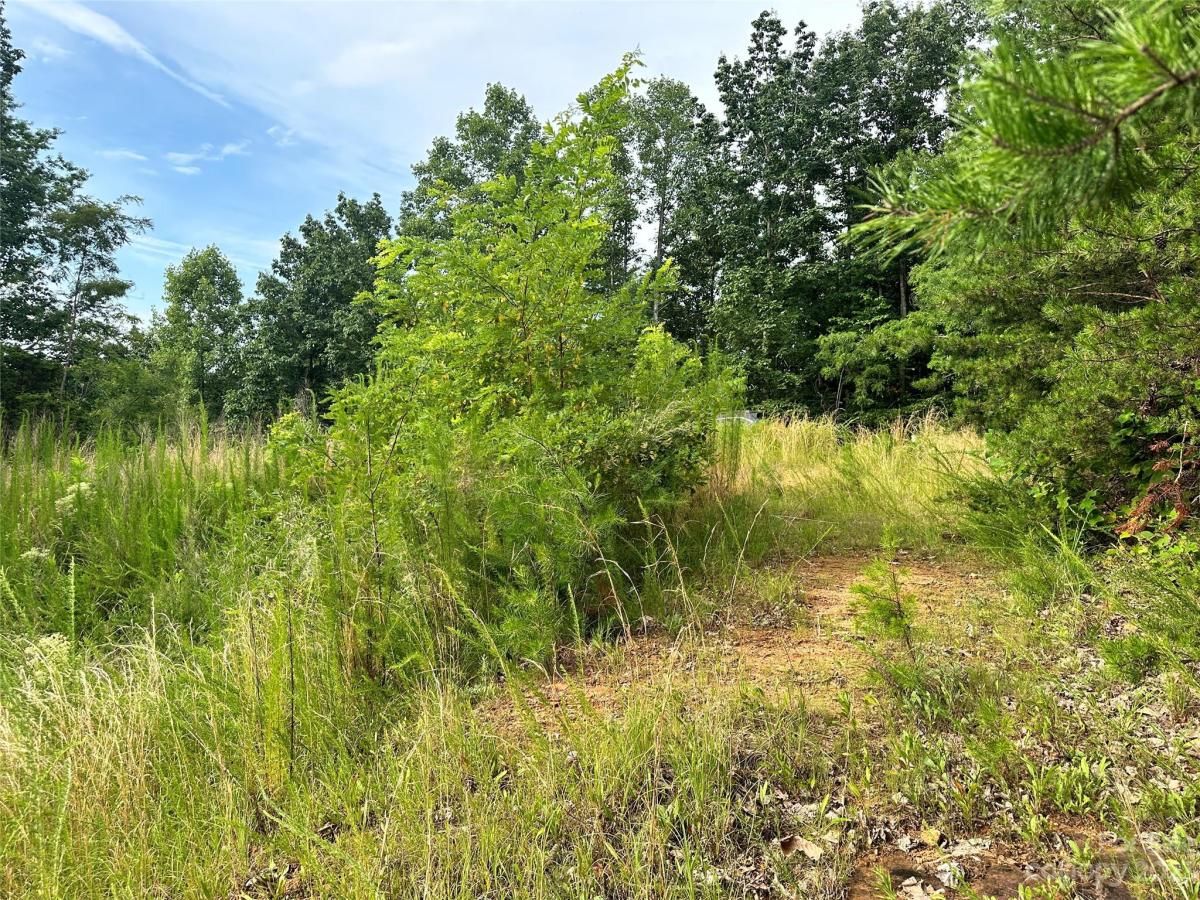 MLS #CAR4052289 image #4