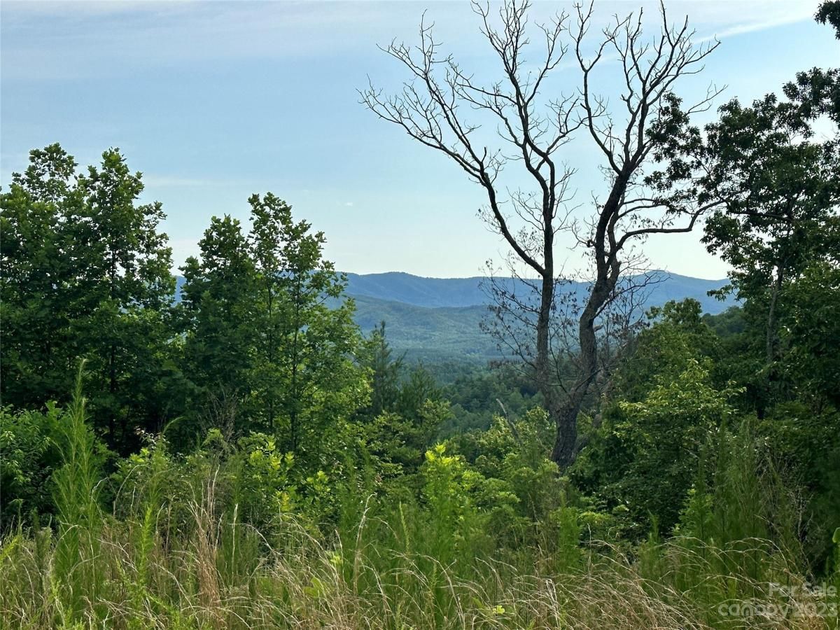 MLS #CAR4052289 image #5