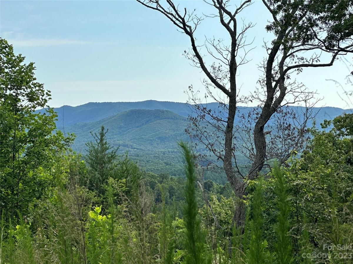 MLS #CAR4052289 image #7