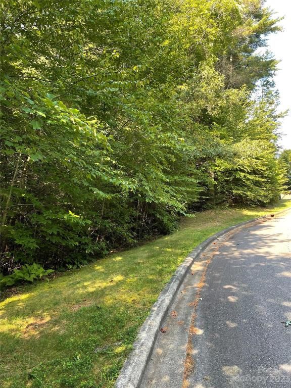 MLS #CAR4052491 image #2