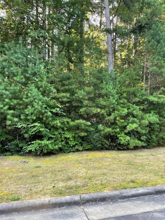 MLS #CAR4052491 image #4