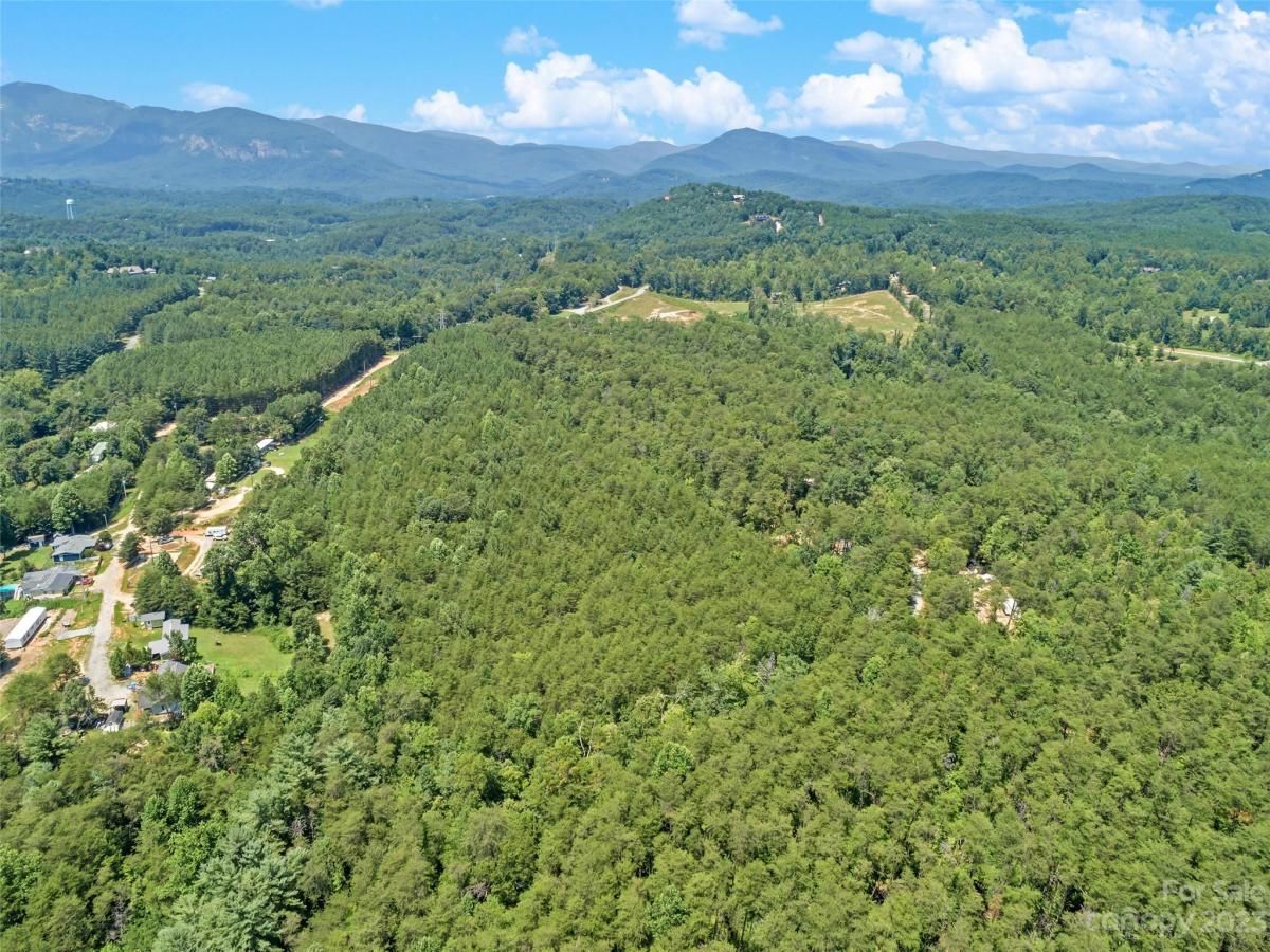 MLS #CAR4054690 image #10