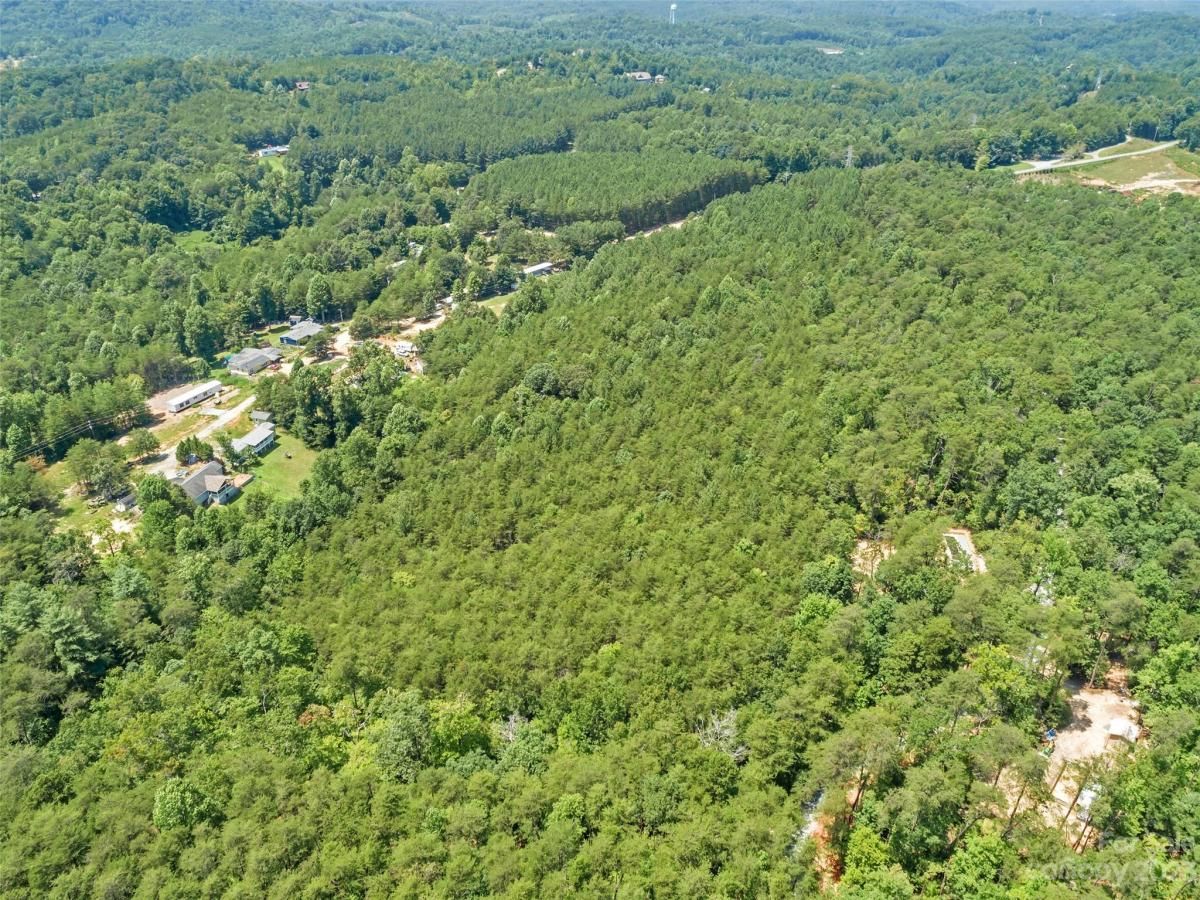 MLS #CAR4054690 image #11