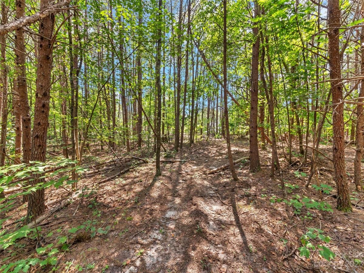 MLS #CAR4054690 image #13