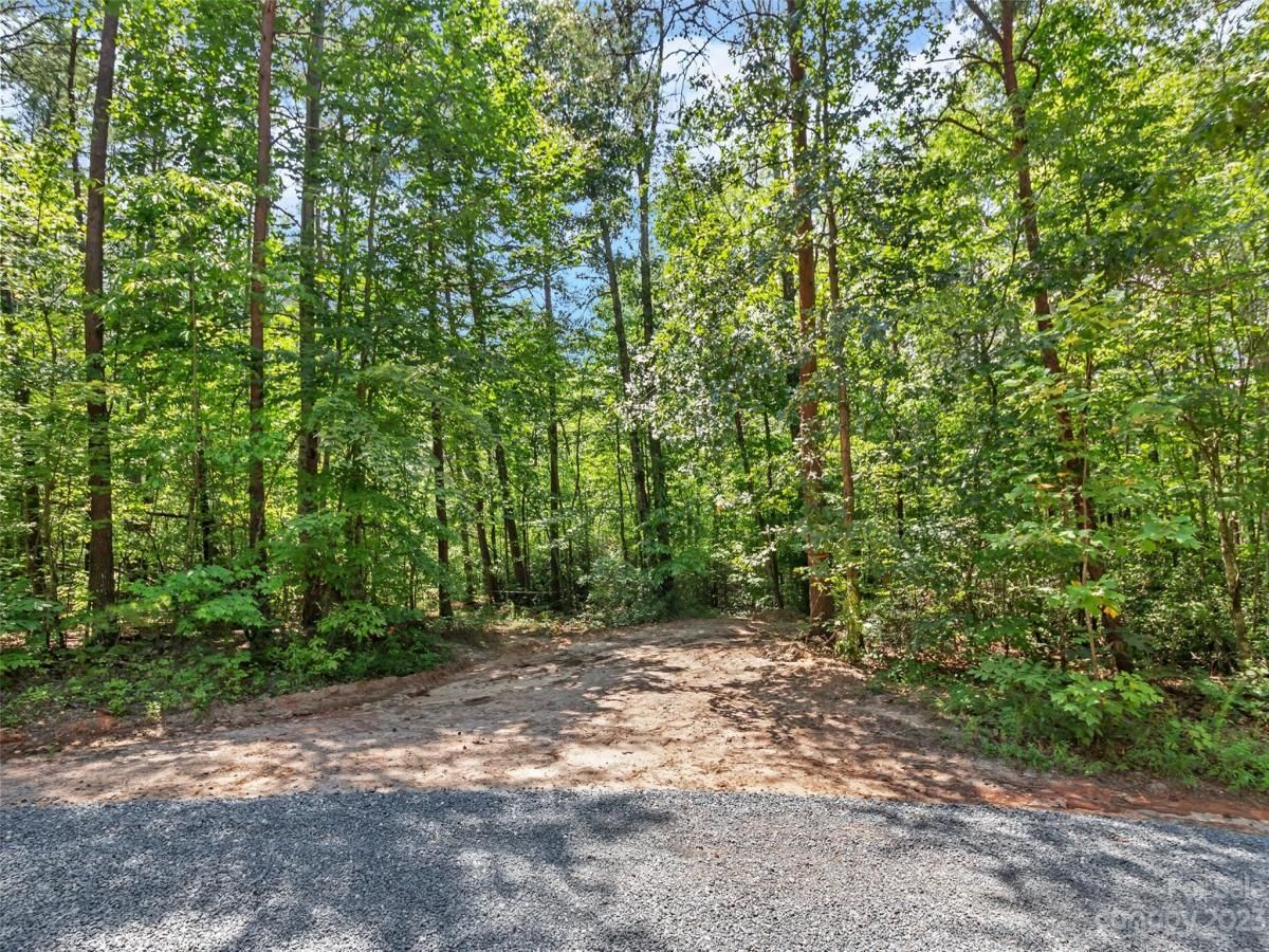 MLS #CAR4054690 image #4