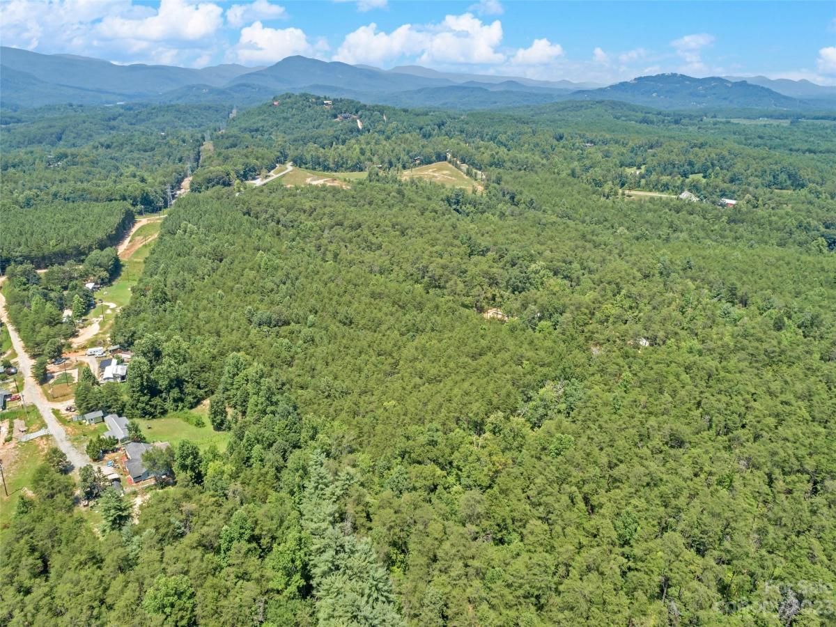 MLS #CAR4054690 image #9