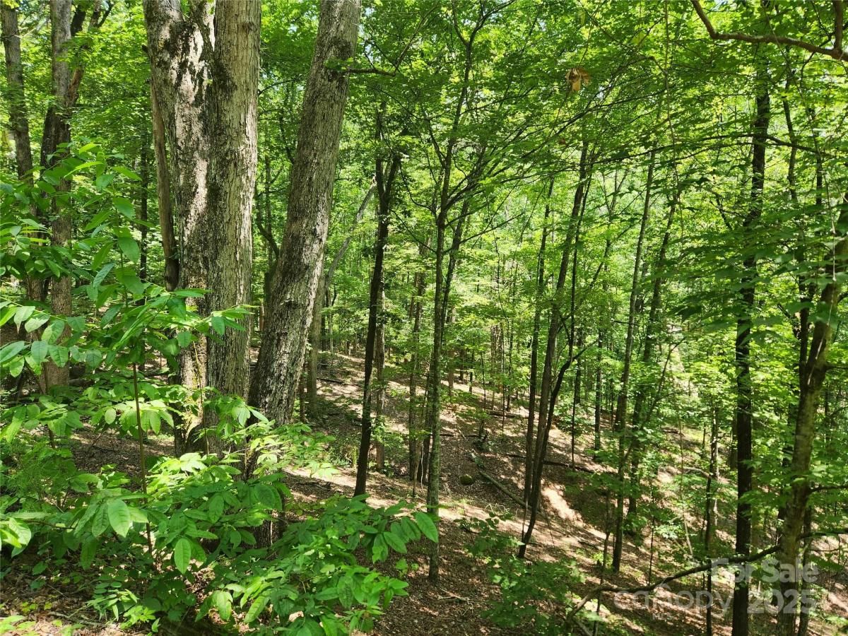 MLS #CAR4054849 image #0