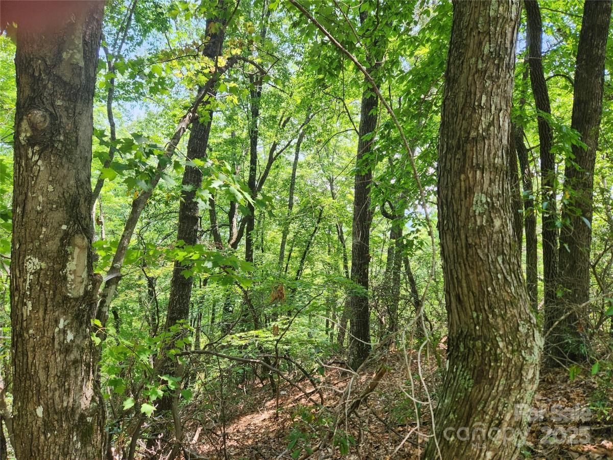 MLS #CAR4054857 image #0