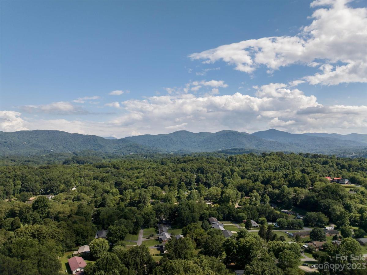 MLS #CAR4055846 image #4