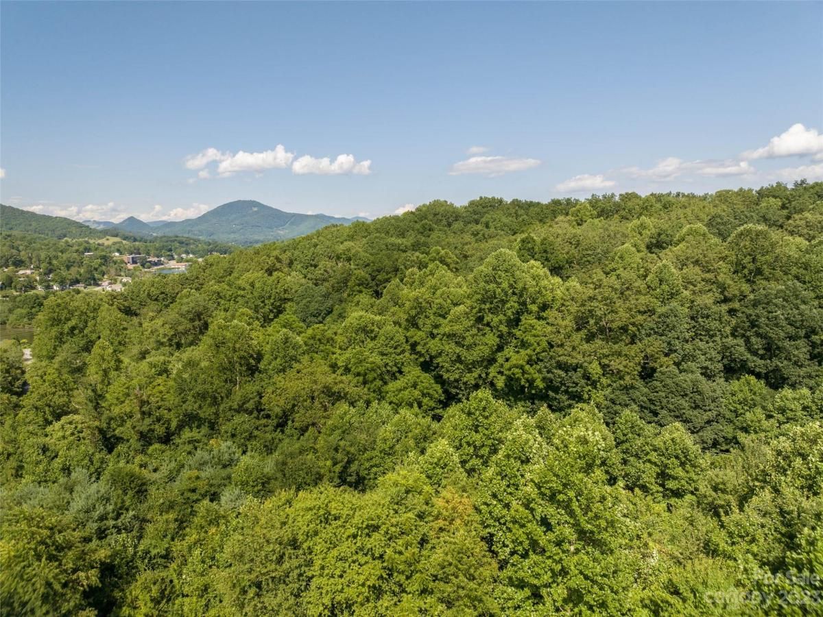 MLS #CAR4055846 image #9