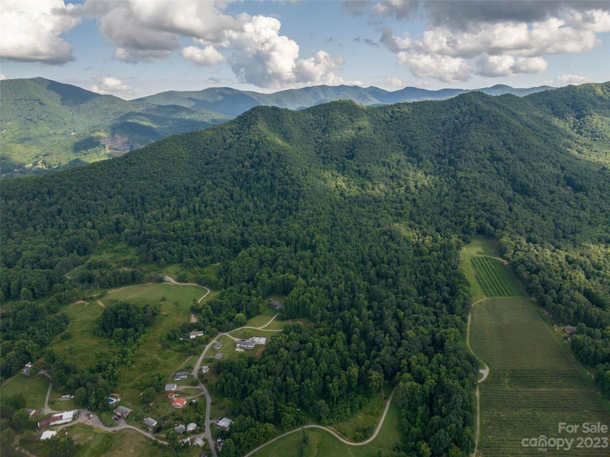 MLS #CAR4056487 image #11