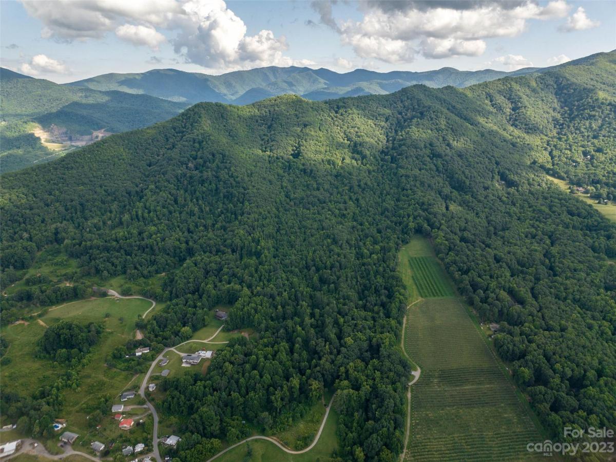 MLS #CAR4056487 image #13