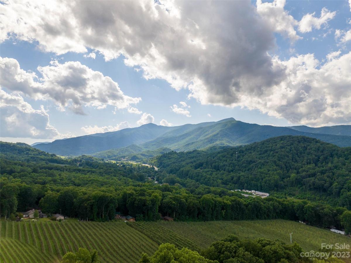 MLS #CAR4056487 image #14