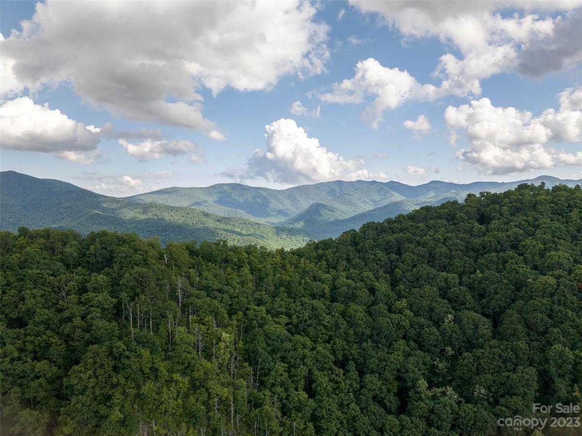 MLS #CAR4056487 image #4