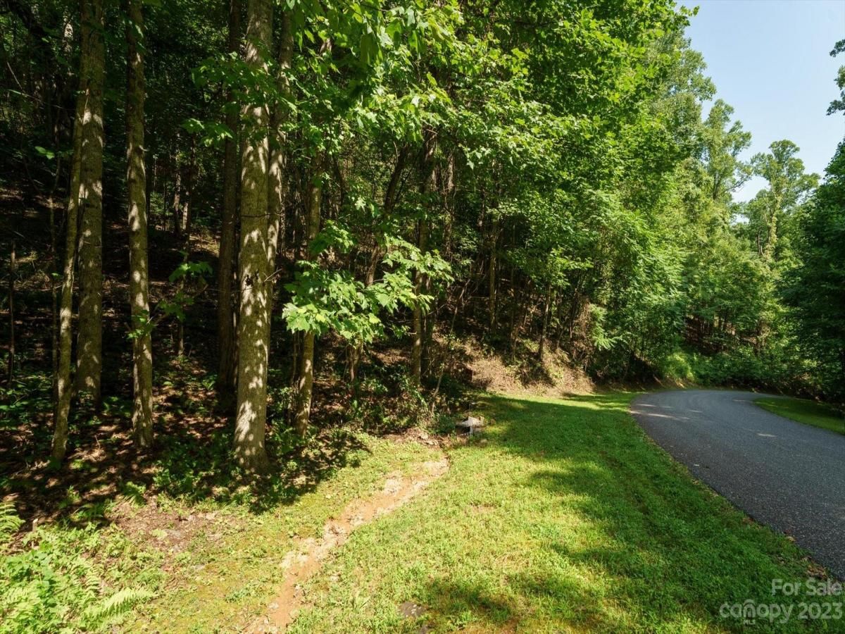 MLS #CAR4056967 image #10