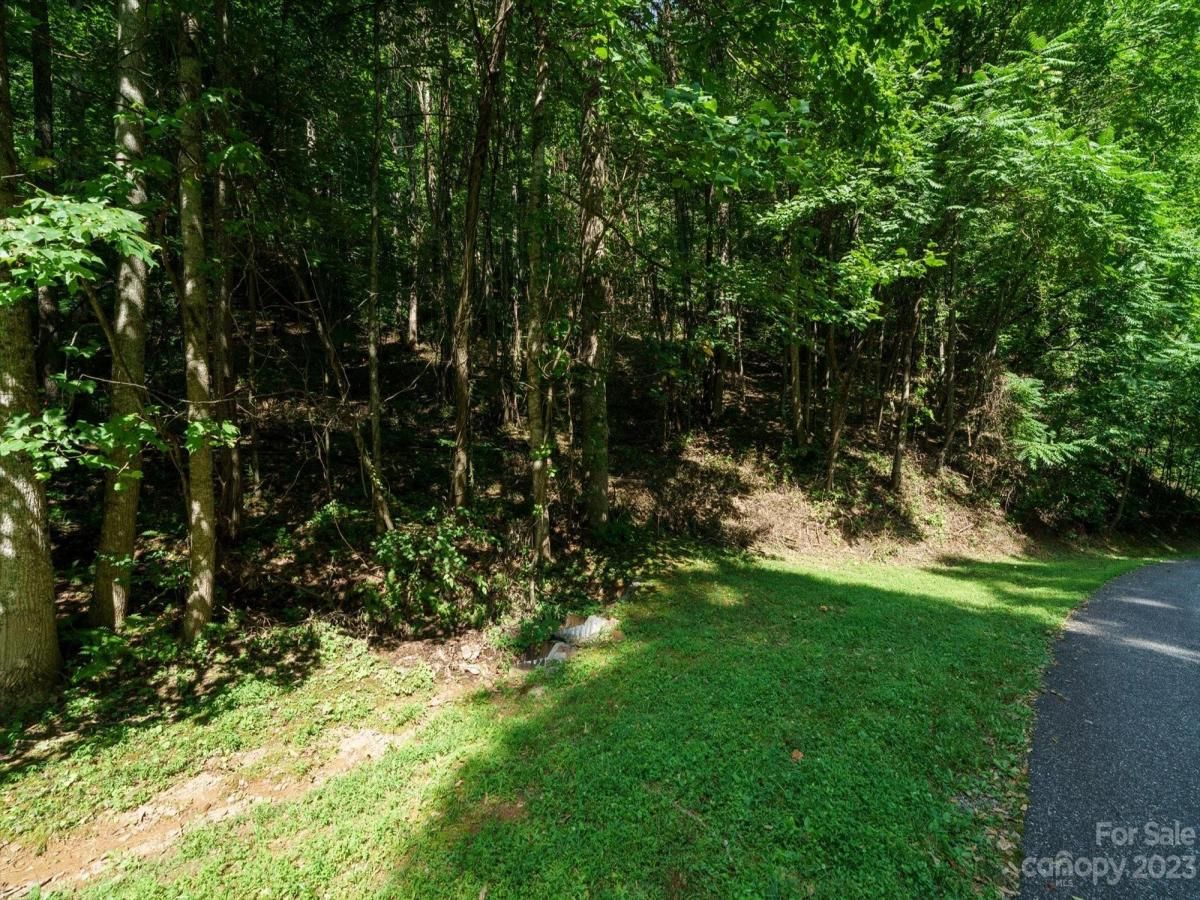 MLS #CAR4056967 image #11