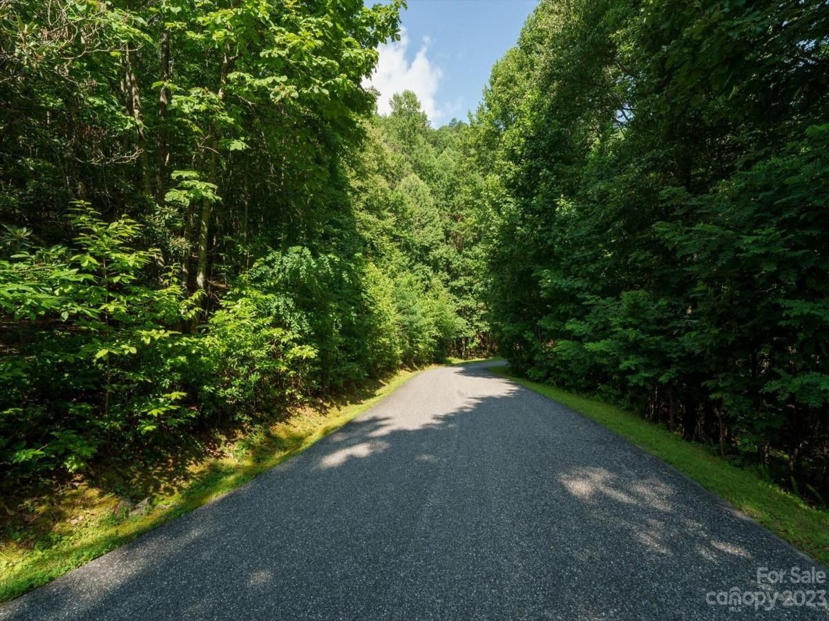 MLS #CAR4056967 image #7