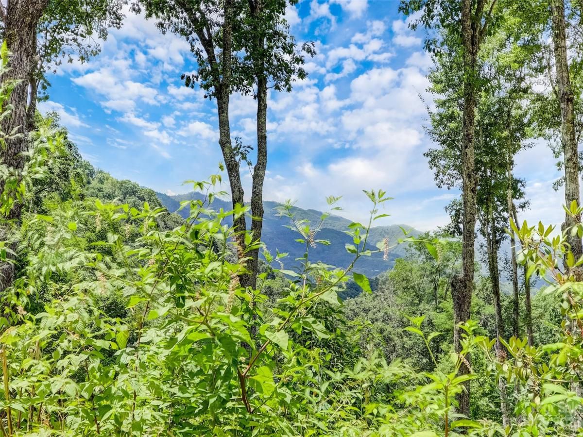 MLS #CAR4057489 image #0