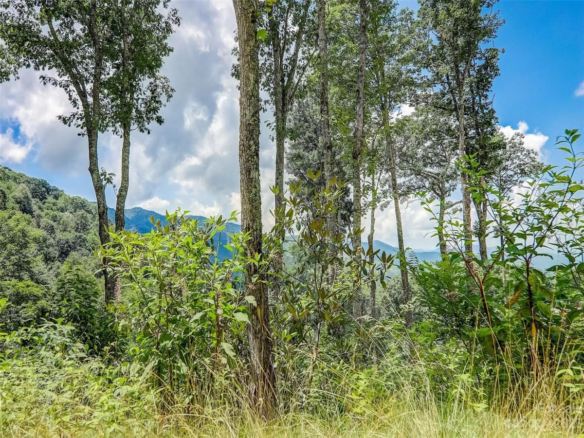 MLS #CAR4057489 image #1